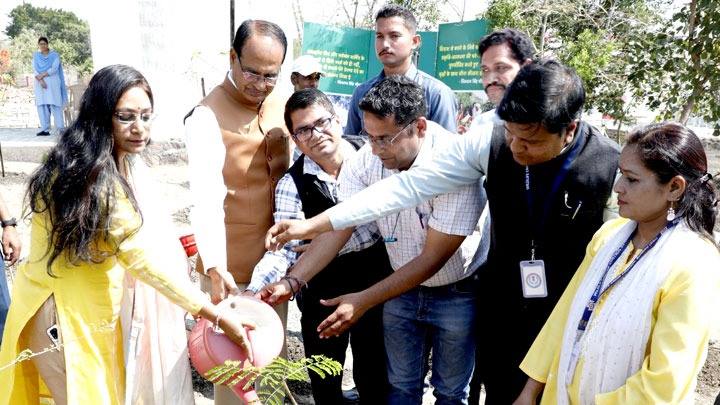 मुख्यमंत्री श्री चौहान ने सागौन, आँवला और गुलमोहर के पौधे लगाए